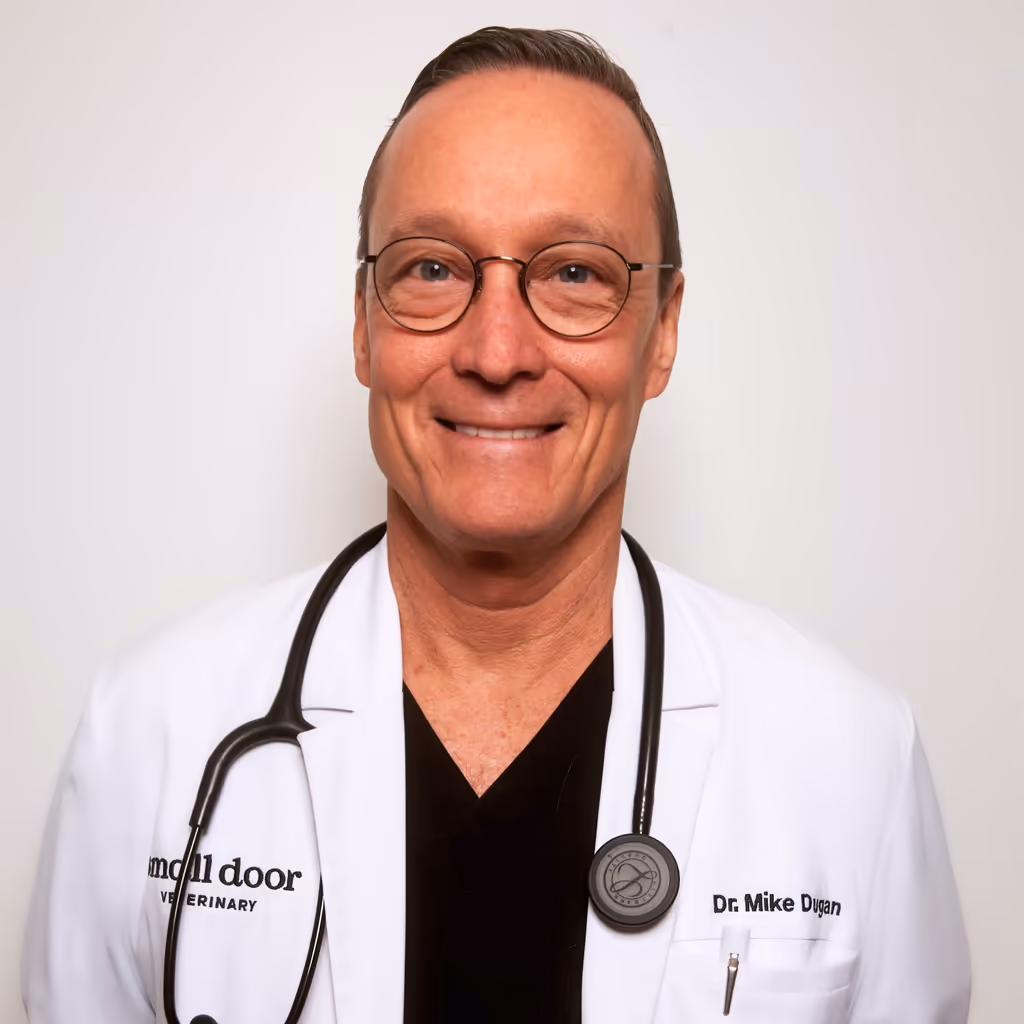 staff profile