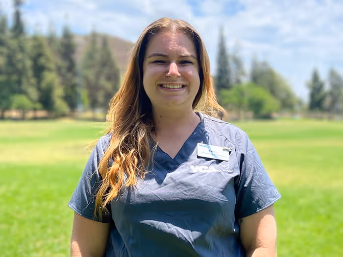 staff profile
