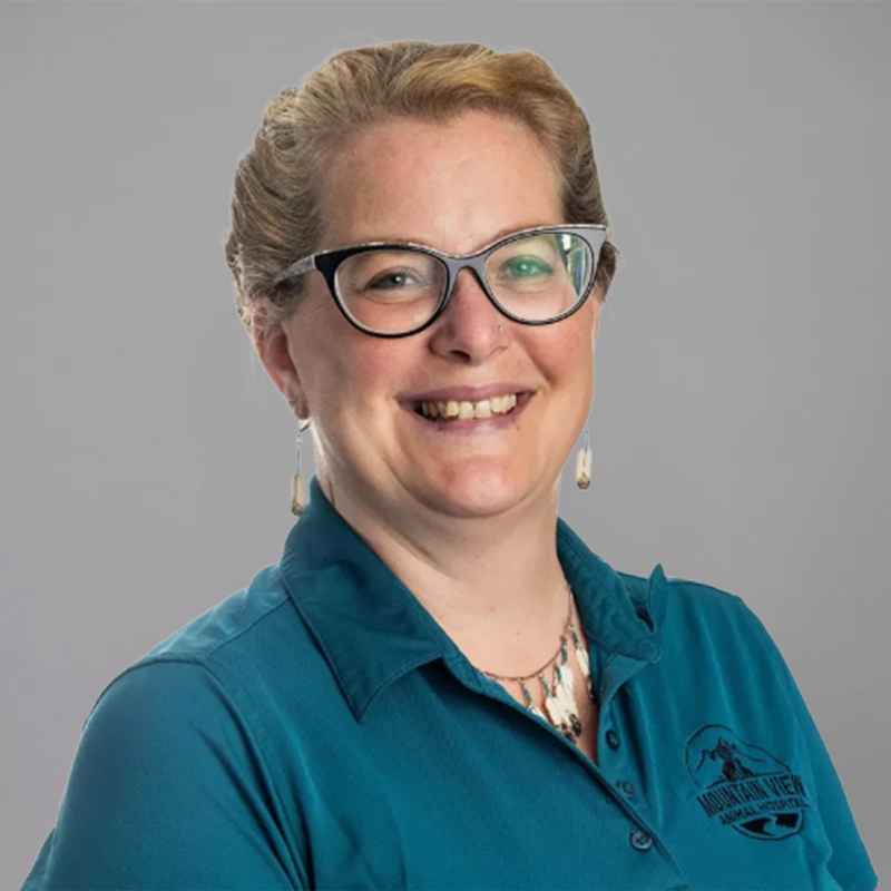staff profile