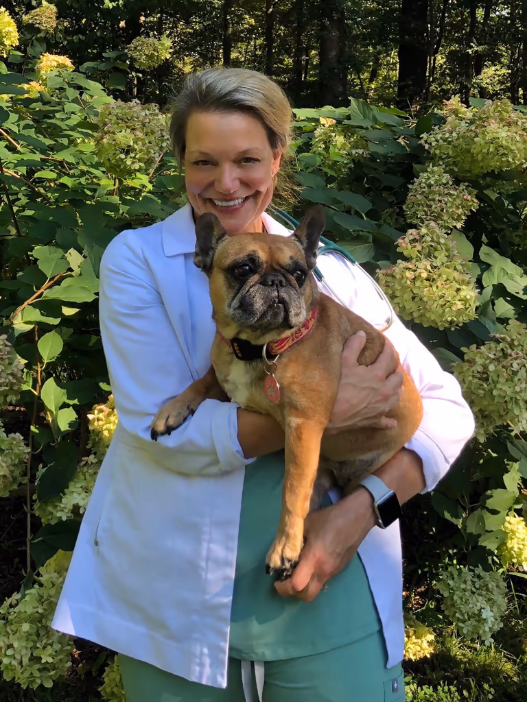 staff profile