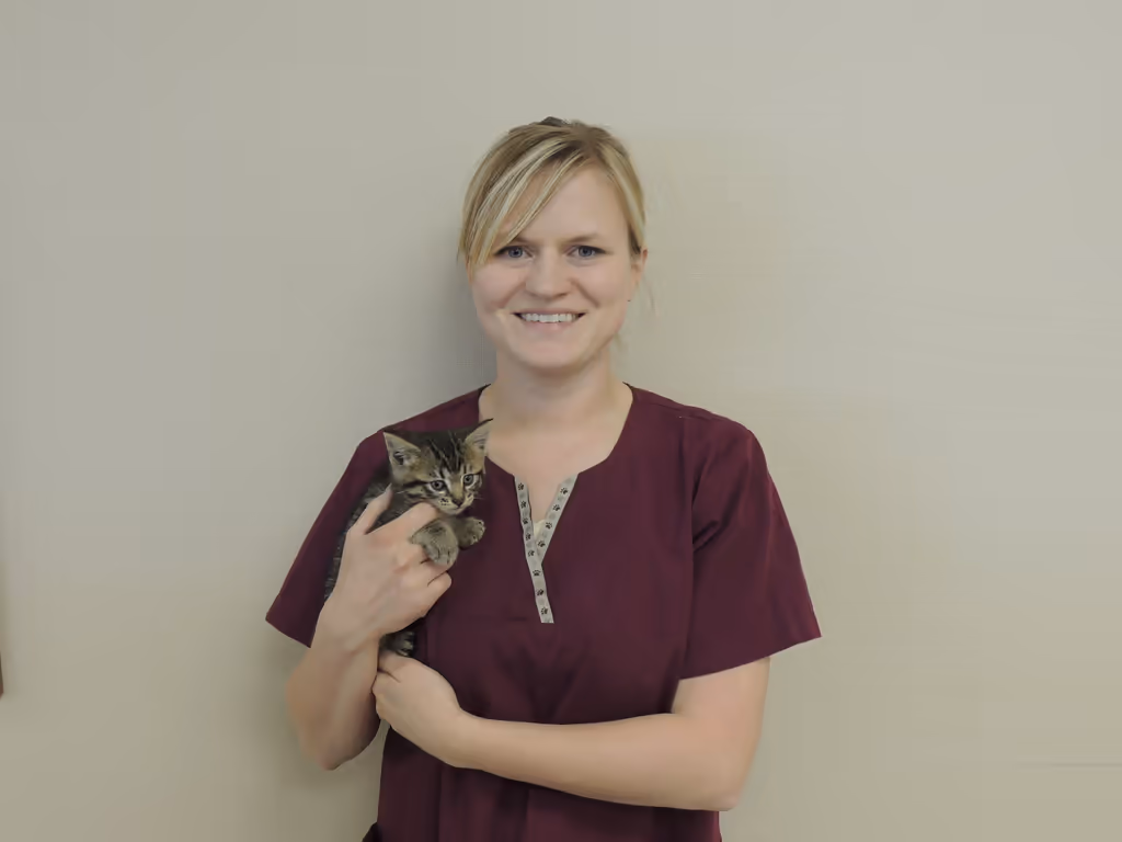 staff profile