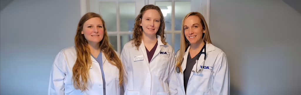 staff profile