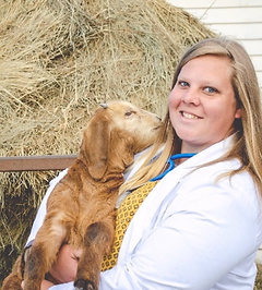 staff profile