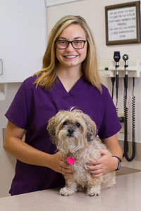 staff profile