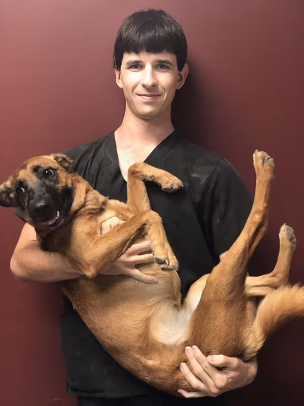 staff profile