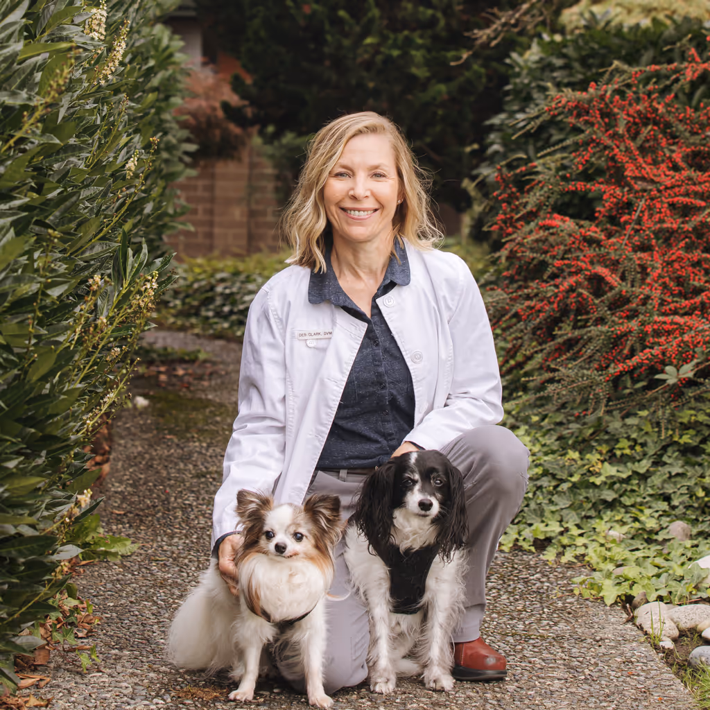 staff profile