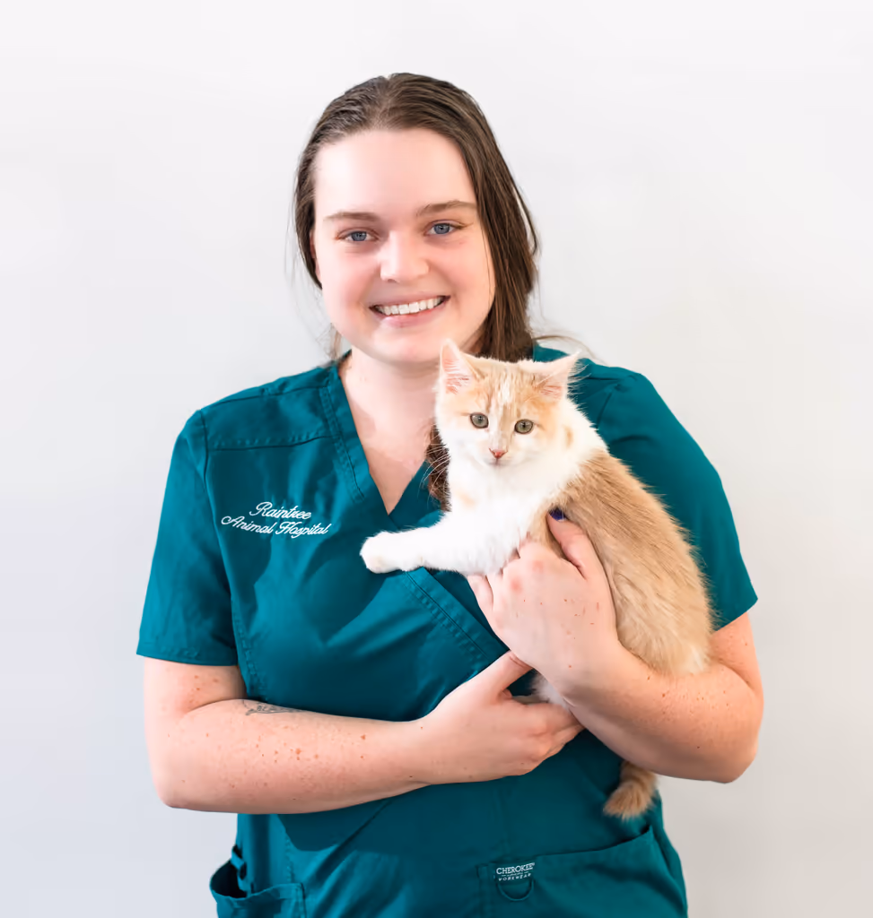 staff profile