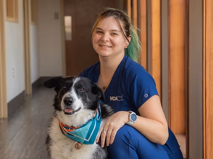 staff profile