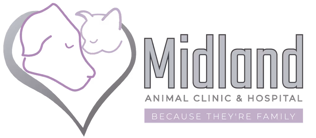 facility profile image