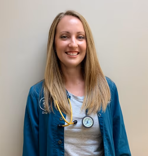 staff profile