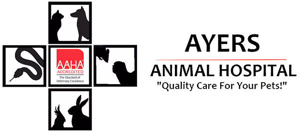 staff profile