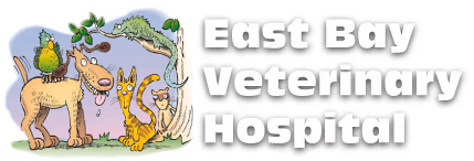facility profile image