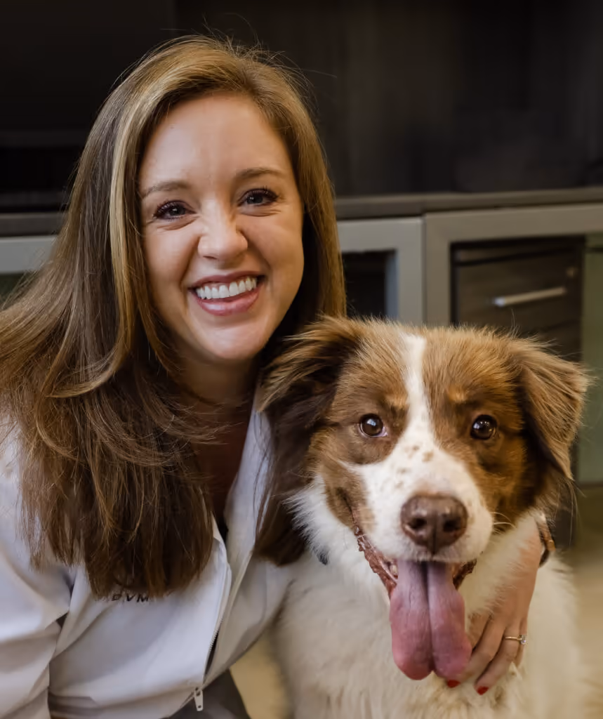 staff profile