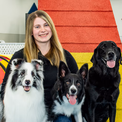staff profile