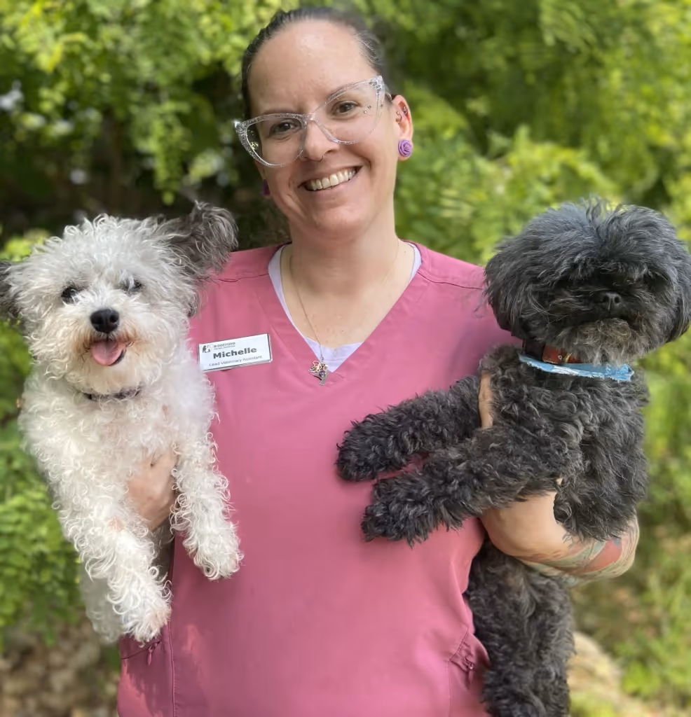 staff profile