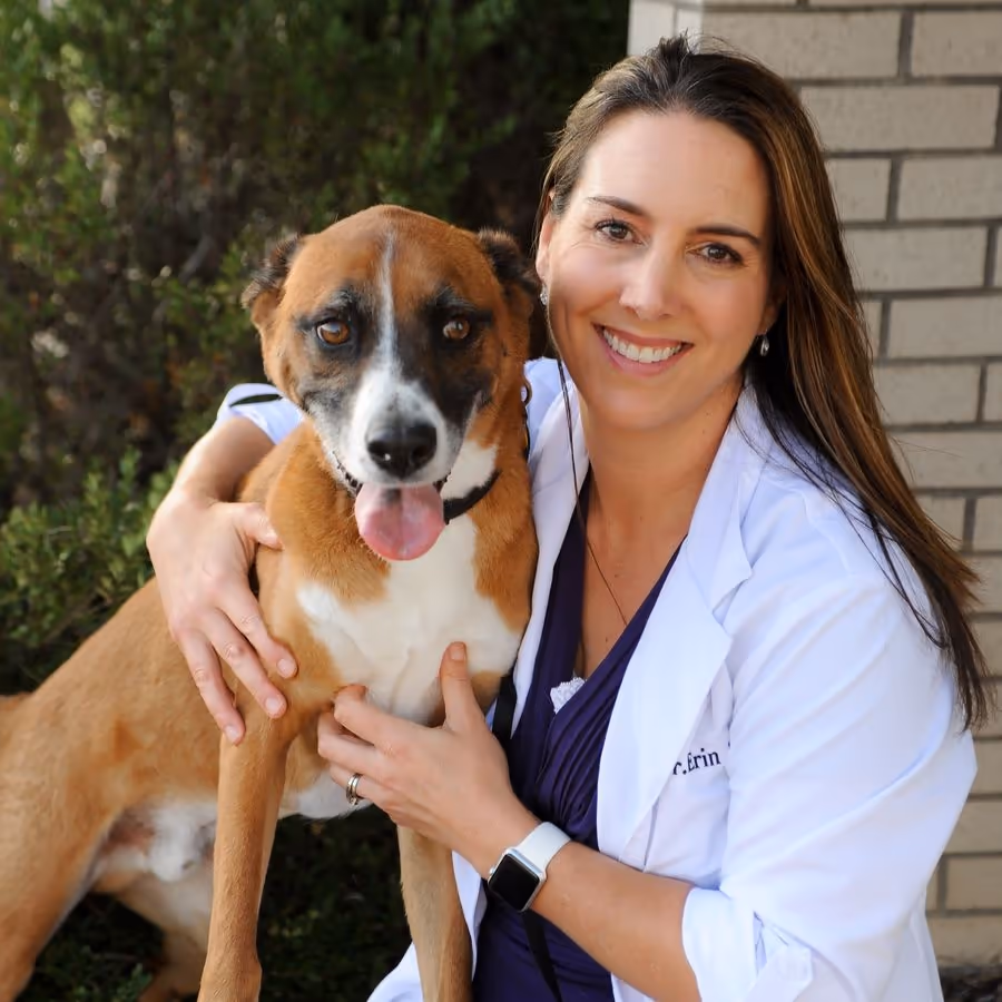 staff profile