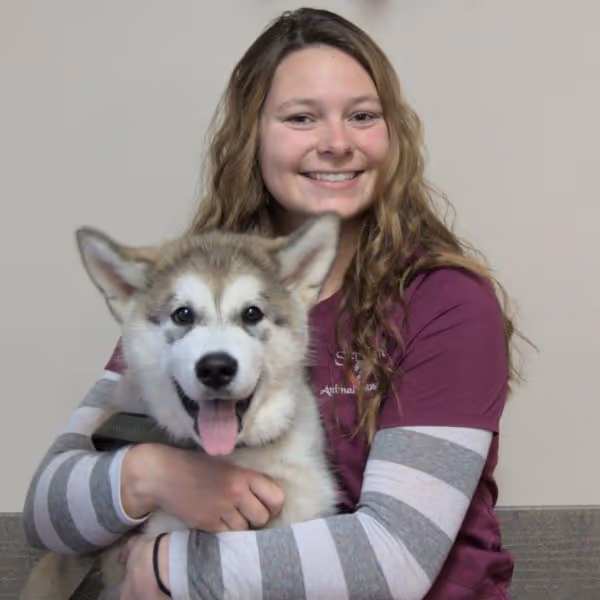 staff profile