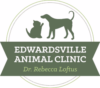 facility profile image