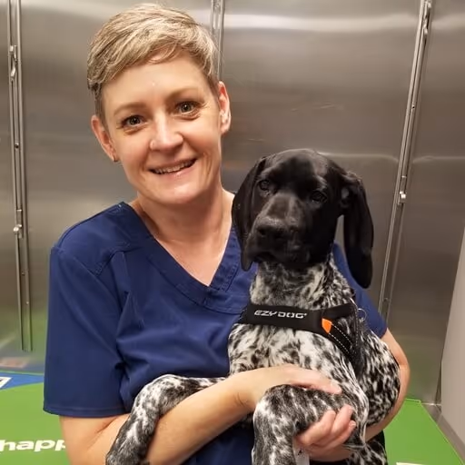staff profile