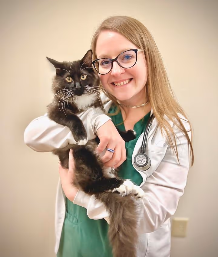 staff profile