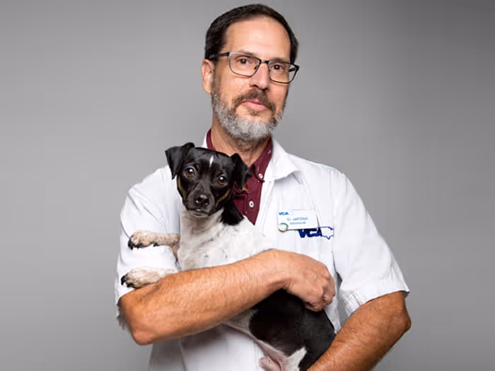 staff profile