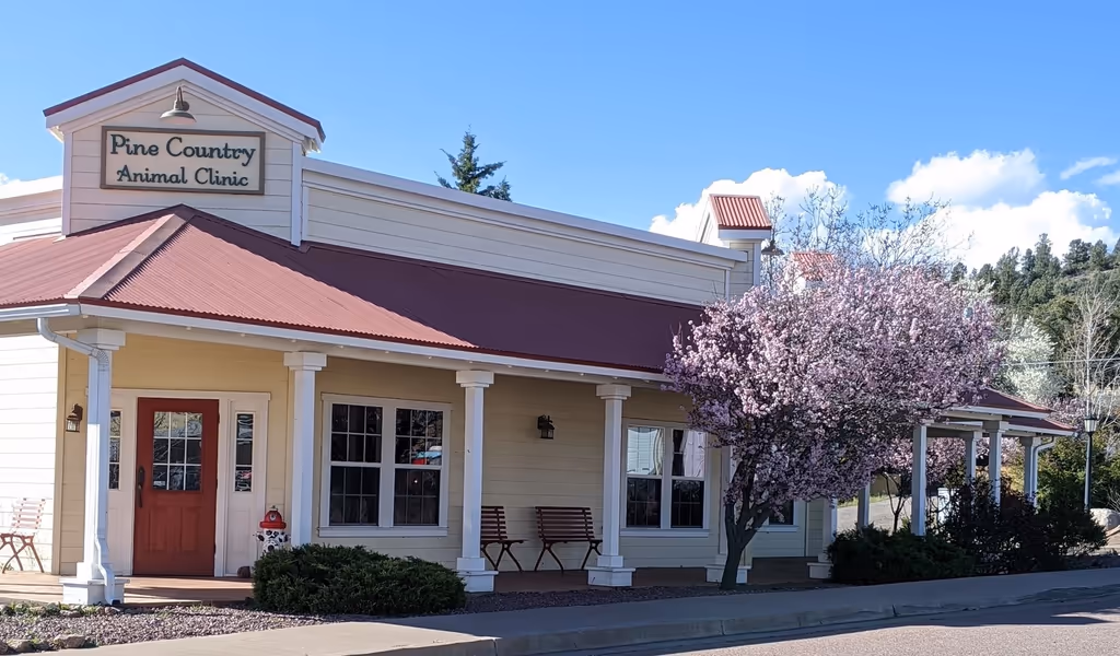 Pine Country Animal Clinic - Pet services facility