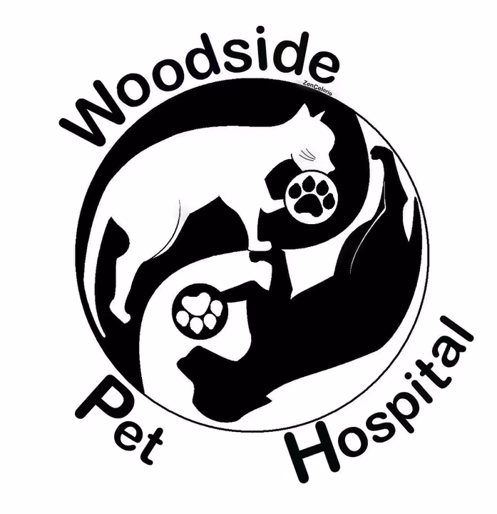 staff profile