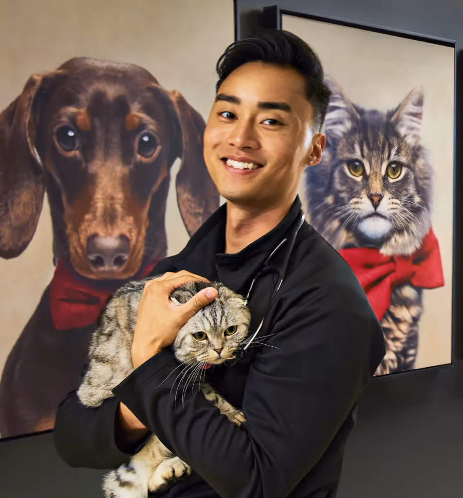 staff profile