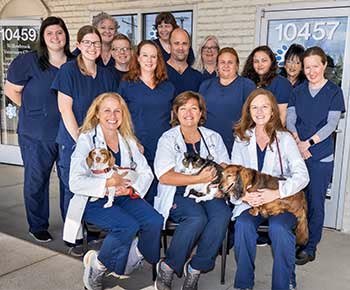 staff profile