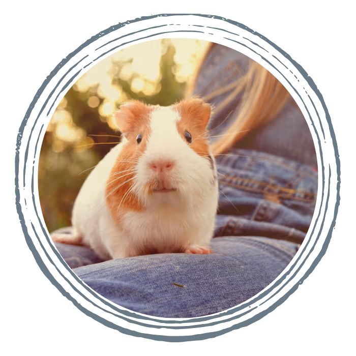 facility profile image