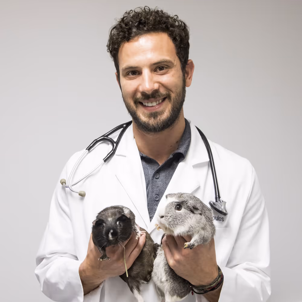 staff profile