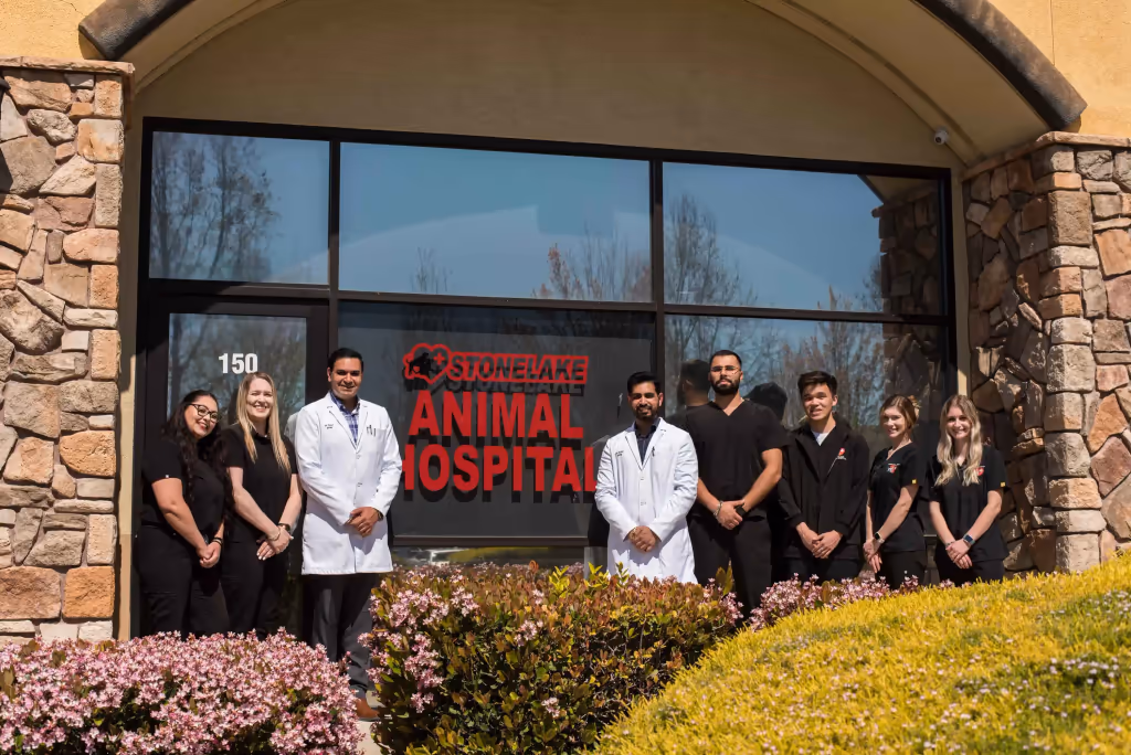 staff profile
