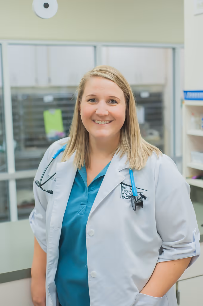 staff profile