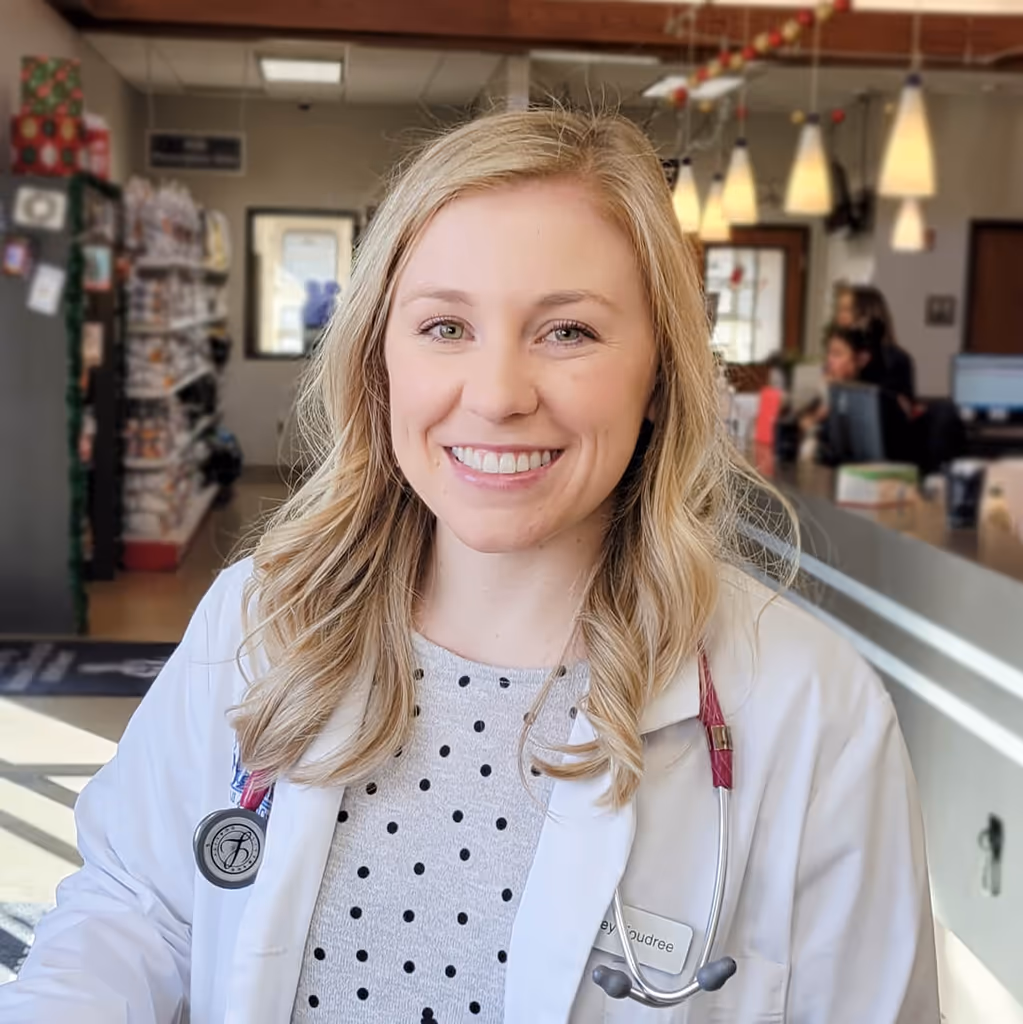 staff profile