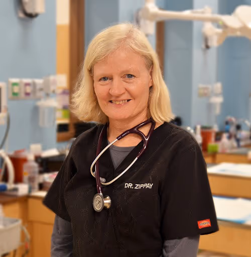 staff profile