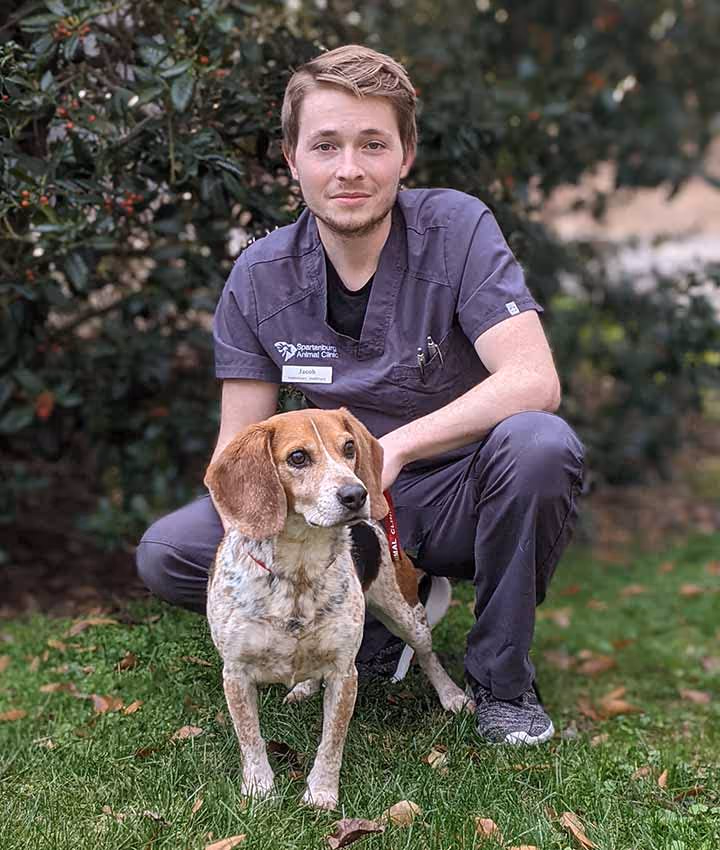 staff profile