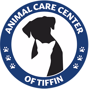 staff profile