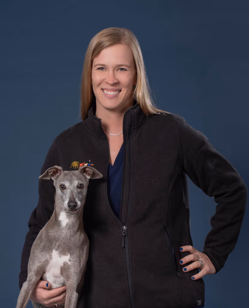 staff profile