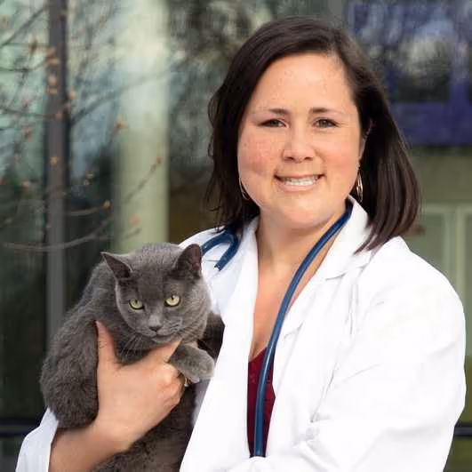 staff profile