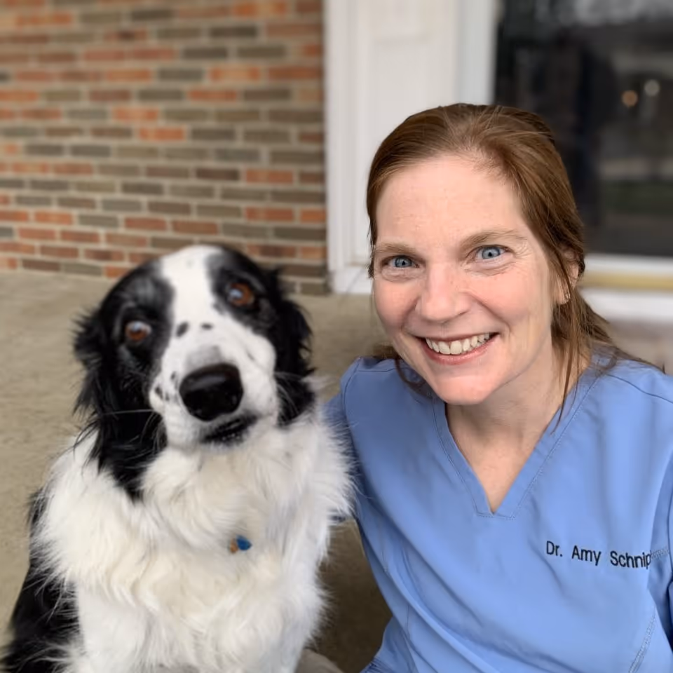 staff profile