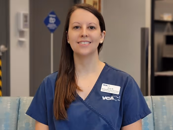 staff profile