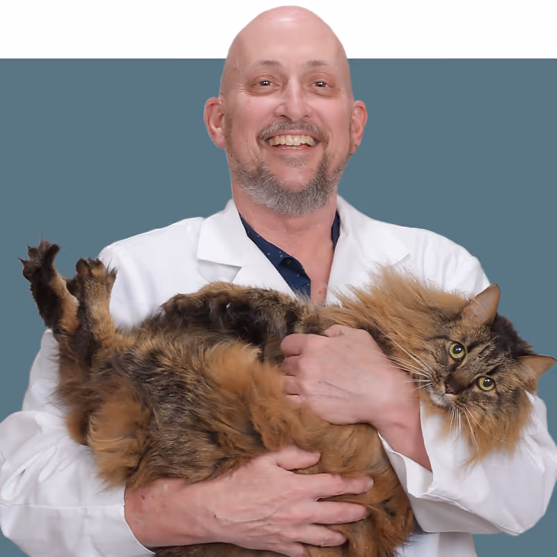 staff profile