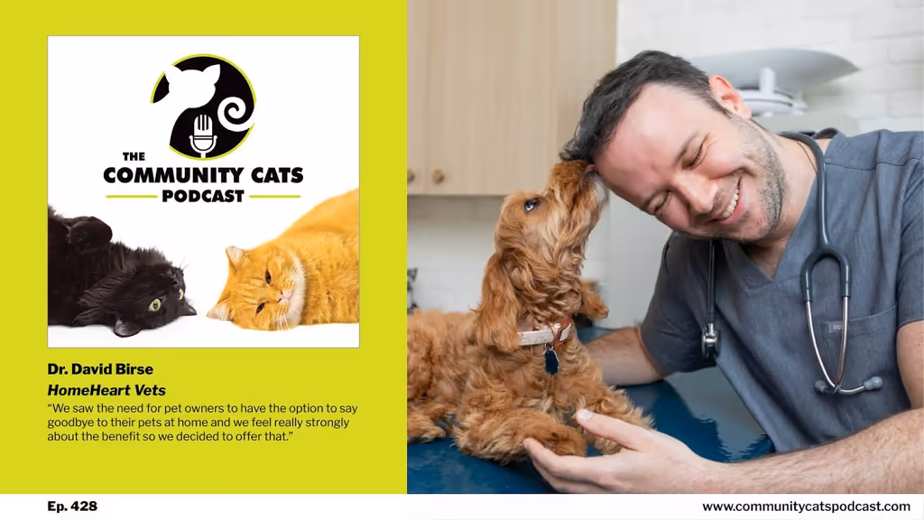 staff profile