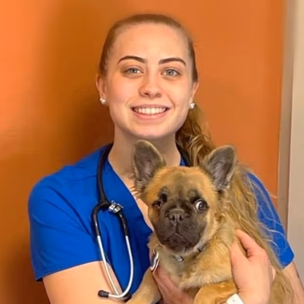 staff profile