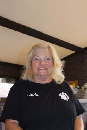 staff profile