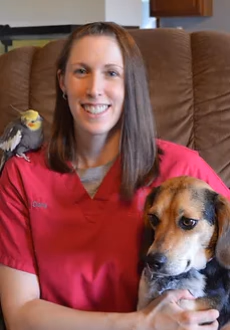 staff profile