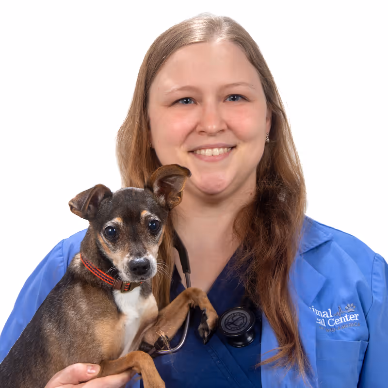 staff profile