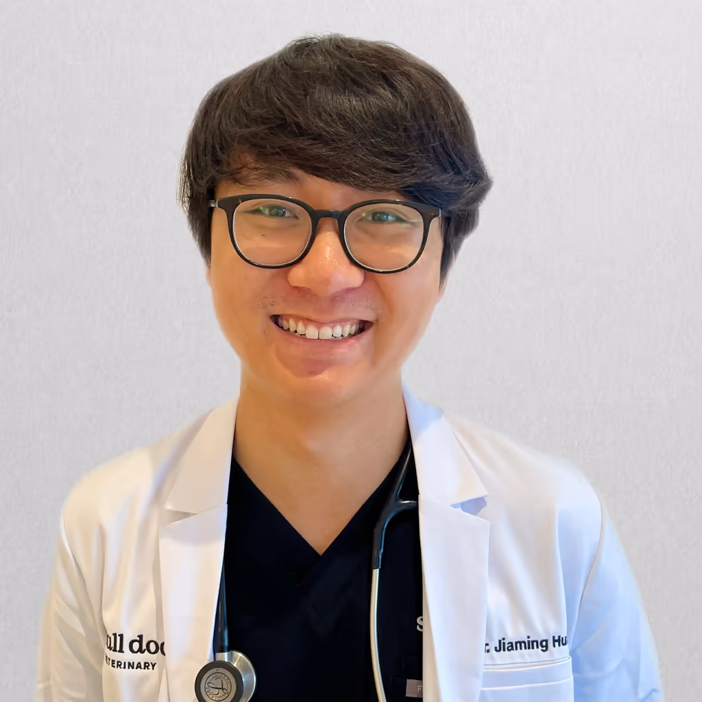 staff profile