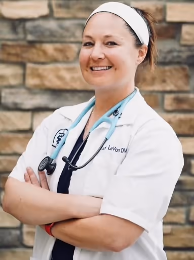 staff profile