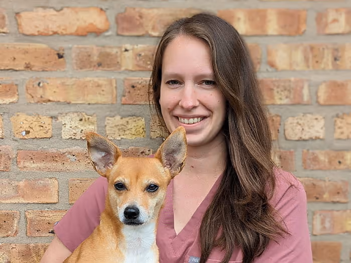 staff profile